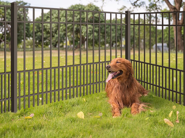 Aluminum Dog Fencing in Panama City, Florida